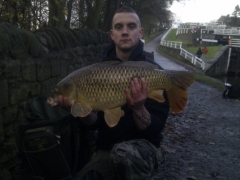 big-carp