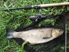 2015-08-16 -5lb12oz-Wharfe Chub - Kearby
