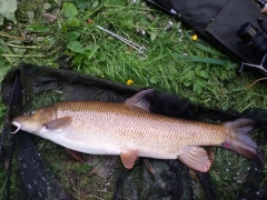 9lb Barbel, Boston Spa, 18-06-15