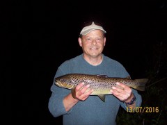 Brown Trout, River Aire, Bingley, Bingley Angling Club