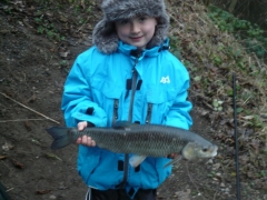 River Aire Chub 3.5lb