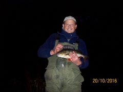 boston spa perch 2016