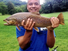 7lb-brown-trout