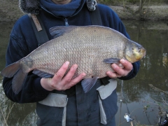 carls-bream-5lb11oz_3