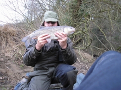 wharfe-chub